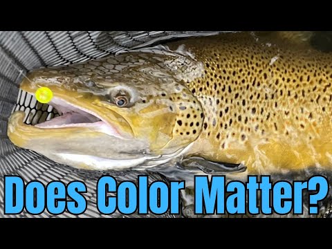 Видео: Имеет ли значение цвет бусины? | Ловля лосося и стальноголового лосося