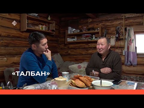 Видео: "Талбан" биэриигэ: Сылгыһыт идэтэ, олоҕо, сайдыыта (22.03.23)