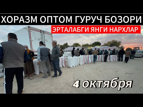 Видео: ХОРАЗМ ОПТОМ ГУРУЧ БОЗОР НАРХЛАРИ 04 10 2025г