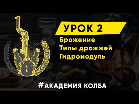 Видео: Брожение, типы дрожжей, гидромодуль