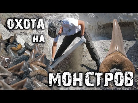 Видео: Где скрываются ВОЛЖСКИЕ АКУЛЫ? | Столько АКУЛЬИХ ЗУБОВ я не находил никогда! | Поиск окаменелостей