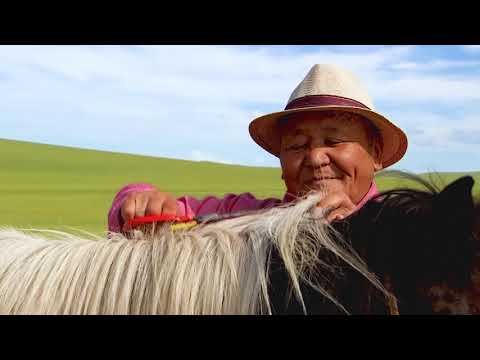 Видео: ОТГОНЫ ДОРЖ /Архангай аймгийн Хайрхан сумын харьяат Хөдөлмөрийн баатар, Гавьяат малчин./