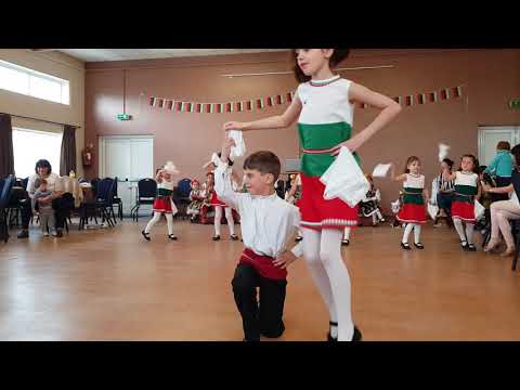 Видео: Ръченица