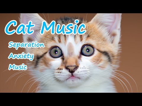 Видео: Целебная музыка для снятия стресса и сна 3 часа 💖 Время успокоения для котят🐱