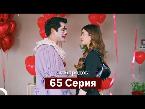 Видео: Зимородок 65 Cерия (Русский дубляж)