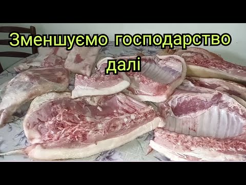 Видео: ПРИБРАЛИ В'ЄТНАМСЬКИХ СВИНЕЙ.Всетаки вигідно, нормальний результат навіть так