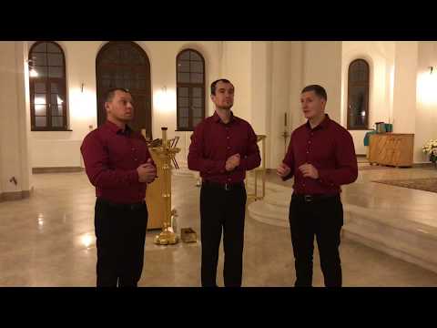Видео: Вокальное трио СПАС - Ис полла эти деспота ( муз. Д. Бортнянского)