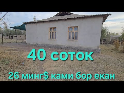 Видео: Жудда яхши ва АРЗОН УЙ жой сотилади Тошкент вилояти Бука тум 