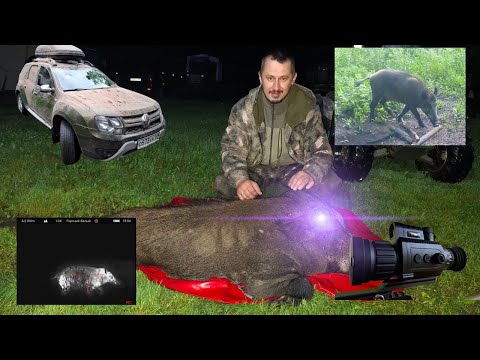 Видео: Трофей добыт!  Охота на кабана с вышки 2025! RedRay и Lzirtek не подвели!