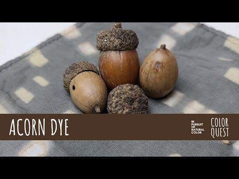 Видео: КАК СДЕЛАТЬ НАТУРАЛЬНЫЙ КРАСИТЕЛЬ ИЗ ЖЕЛУДЕЙ | ОРГАНИЧЕСКИЙ КРАСИТЕЛЬ | БЕЖЕВЫЙ, КОРИЧНЕВЫЙ, ЧЁРН...