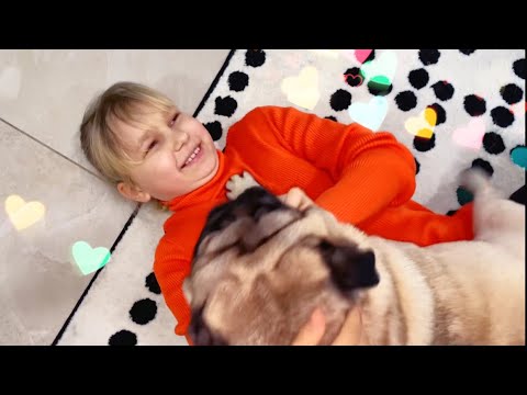 Видео: Алиса едет в гости к Лёве ! 🐕 ​