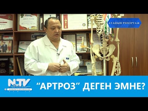 Видео: "АРТРОЗ" ДЕГЕН ЭМНЕ?\\АТАЙЫН РЕПОРТАЖ\\NewTV