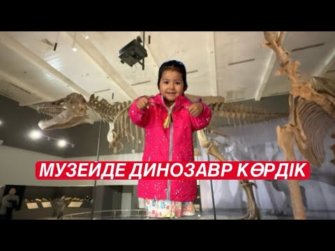 Видео: АЙЛИНДІ МУЗЕЙДЕ ЖОҒАЛТЫП АЛДЫҚ / МУЗЕЙГЕ БАРАМЫЗ