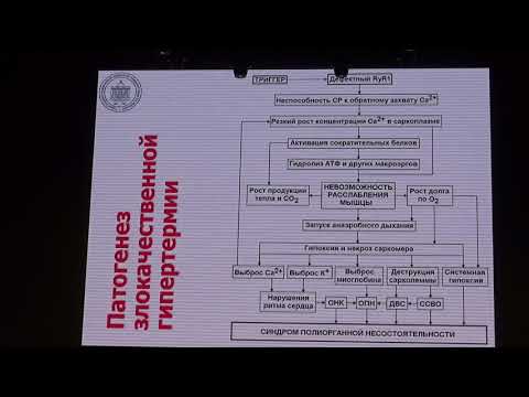Видео: Злокачественная гипертермия – респираторные аспекты синдрома Лебединский К.М.