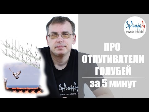 Видео: Отпугиватели голубей. Основные средства защиты. За 5 минут.