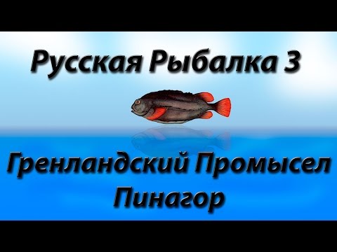 Видео: Гренландский Промысел Пинагор