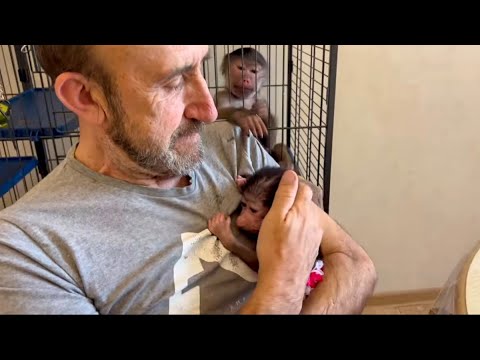 Видео: Степка НЕ ХОЧЕТ сидеть в вольере один, он громко ее зовёт! Люся БЕЖИТ НА ПОМОЩЬ!