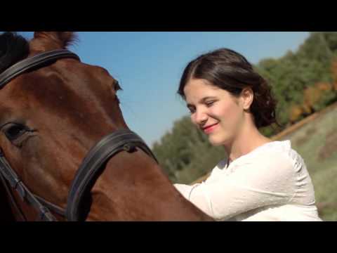 Видео: Динамичные ребята - Красный конь