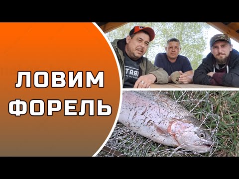 Видео: Ловим форель