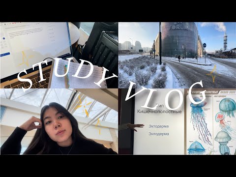 Видео: STUDY VLOG // мини-влог // подготовка к ент