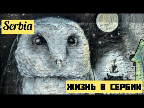 Видео: Жизнь В Сербии. Вечерняя Суботица. Торт. Железная Дорога И Граффити