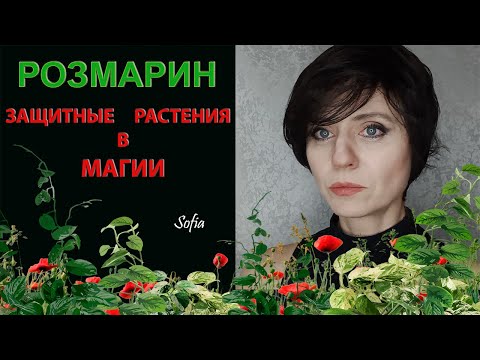 Видео: Защитные растения в магии. Розмарин.