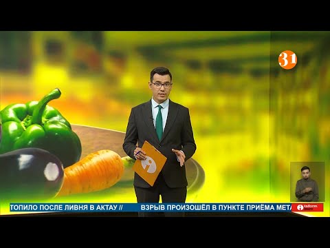 Видео: ПОЛНЫЙ ВЫПУСК ИНФОРМБЮРО ОТ 11.09.2025