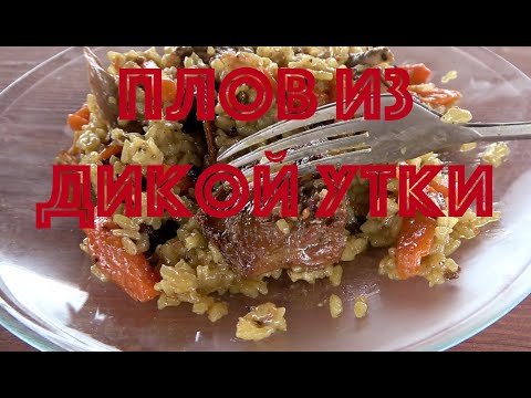 Видео: Дикая кухня #2 Плов из дикой утки