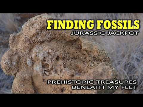 Видео: Юрский джекпот; Доисторические сокровища под моими ногами