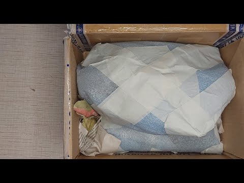 Видео: Спонтанные покупки всегда интересны! Приехали морковки из частной коллекции. Орхидея катасетум.