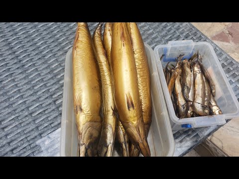 Видео: Электростатика, электростатическое холодное копчение , рыба холодного копчения электростатикой