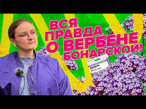 Видео: ВЕРБЕНА - ХИТ СЕЗОНА 2024!