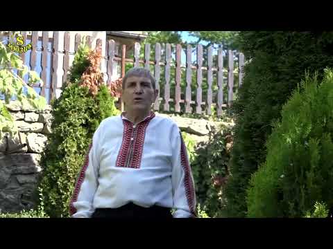 Видео: Венко Медени - Кацнал бръмбар на трънка