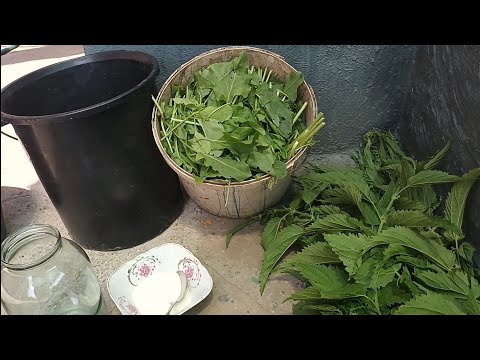 Видео: ДОБРИВО ПРИРОДНЄ-ЗЕЛЕНЕ Бродіння