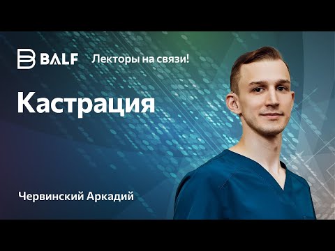 Видео: Кастрация