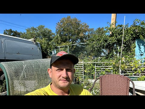 Видео: Адская работа в Нью-Йорке, продолжаю страдать за 300$ в день