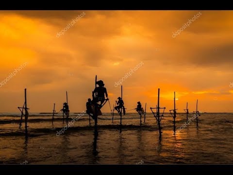 Видео: Club Palm Bay 4*( Животный мир.)Шри-Ланка.