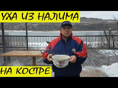 Видео: УХА ИЗ НАЛИМА НА КОСТРЕ