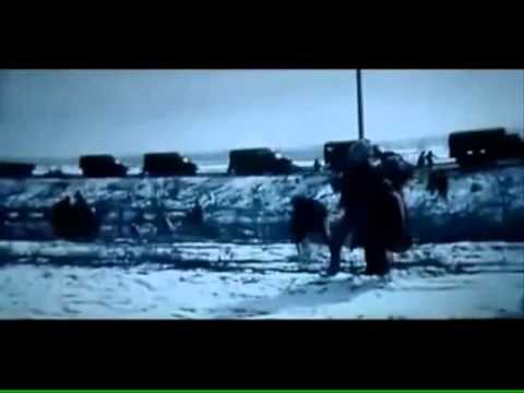 Видео: Диди жане Жакау - 1986