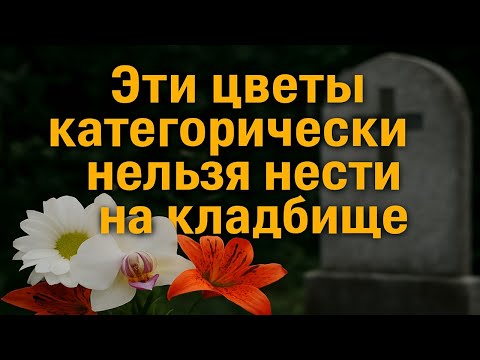 Видео: Эти цветы категорически нельзя нести на кладбище — запрет, о котором забывают. Приметы и традиции