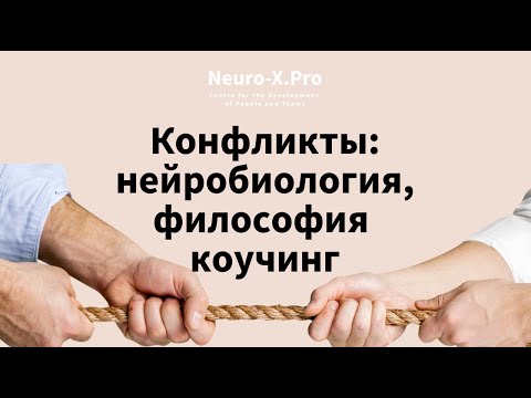 Видео: КОНФЛИКТЫ ЧЕРЕЗ МОЗГ #нейробиология #мозг #коучинг #coaching #teamcoaching #команда