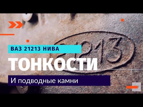 Видео: ВАЗ 21213. Подводные камни | Дневник Моториста