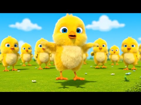 Видео: Пять цыплят танцуют во дворе 🐥🎶
