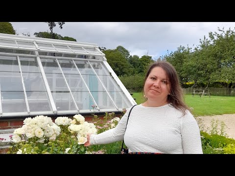 Видео: Бог видит, что я живу с нарциссом и обязательно вмешается