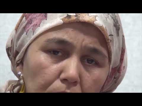 Видео: Ахбори ВКД 11.11.2025 Наваш