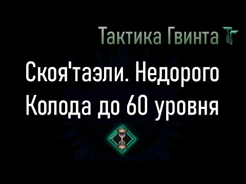 Видео: Колода-04/Скоя'таэли/Недорогая, на Стартовой колоде Скоя'таэли [Гвинт Карточная Игра]