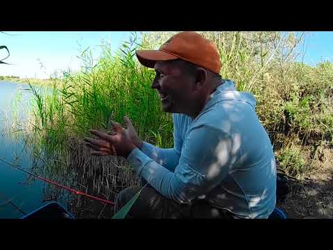 Видео: Секретная наживка на карася. Первая осенняя рыбалка.