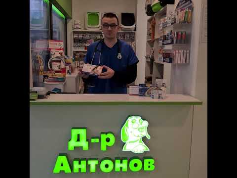 Видео: Противопаразитна защита: дирофиларията (сърдечни глисти)