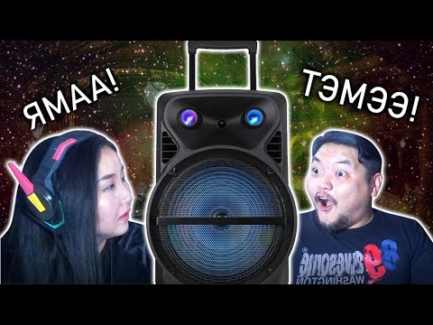 Видео: Тэмээ Гэхээр Ямаа Гэх Юм...