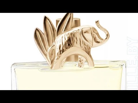 Видео: #таро #нетаро #картадня #метафорическиекарты #аромат 